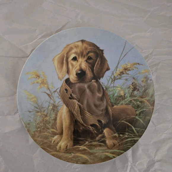 Royal Copenhagen Other - Edwin Knowles China Plate Golden Retriever Lynn Kaatz dog puppy 1987 caught Act